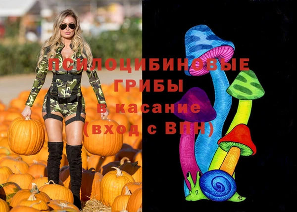 эйфоретик Богородск