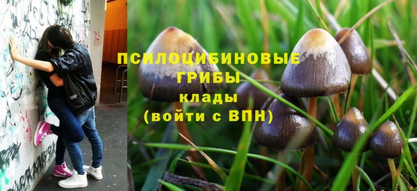 эйфоретик Богородск