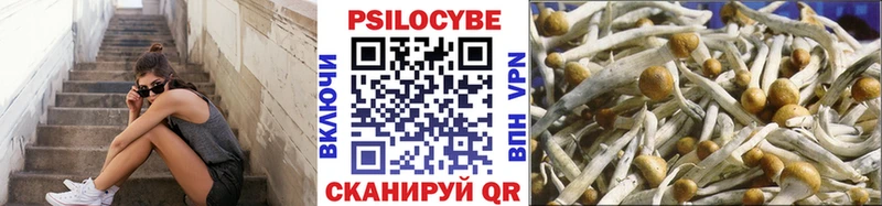 дарк нет официальный сайт  Ухта  Галлюциногенные грибы MAGIC MUSHROOMS 